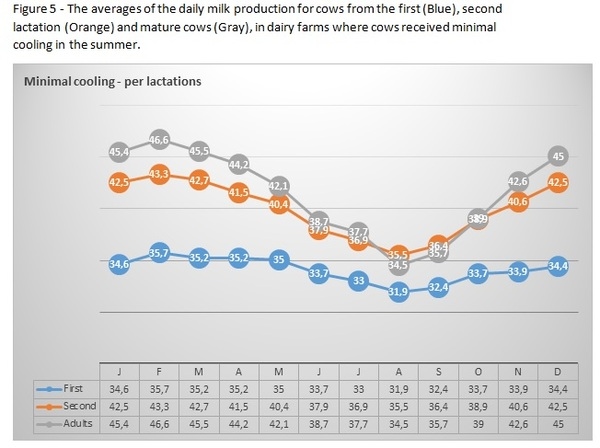 How much milk adds intensive cooling in the summer to the annual yield of young and mature cows - Image 5