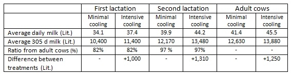 How much milk adds intensive cooling in the summer to the annual yield of young and mature cows - Image 1