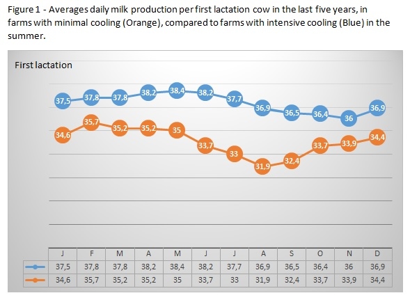 How much milk adds intensive cooling in the summer to the annual yield of young and mature cows - Image 1