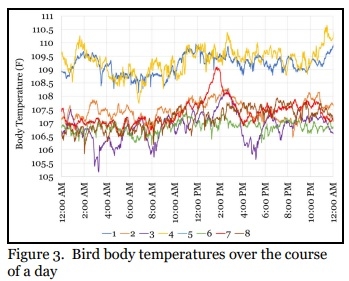 Weight Gain Vs. Body Temperature - Image 4