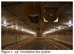 Using Circulation Fans to Improve Foot Pad Health - Image 1