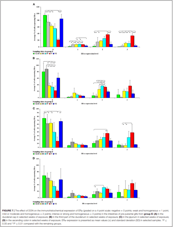 The Effect of 42-Day Exposure to a Low Deoxynivalenol Dose on the Immunohistochemical Expression of Intestinal ERs and the Activation of CYP1A1 and GSTP1 Genes in the Large Intestine of Pre-pubertal Gilts - Image 8