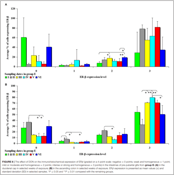The Effect of 42-Day Exposure to a Low Deoxynivalenol Dose on the Immunohistochemical Expression of Intestinal ERs and the Activation of CYP1A1 and GSTP1 Genes in the Large Intestine of Pre-pubertal Gilts - Image 9