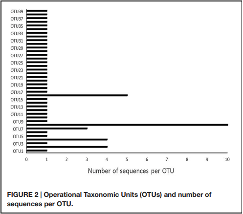 Bacterial Diversity and Mycotoxin Reduction During Maize Fermentation (Steeping) for Ogi Production - Image 4