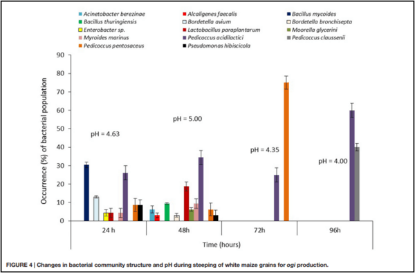 Bacterial Diversity and Mycotoxin Reduction During Maize Fermentation (Steeping) for Ogi Production - Image 6