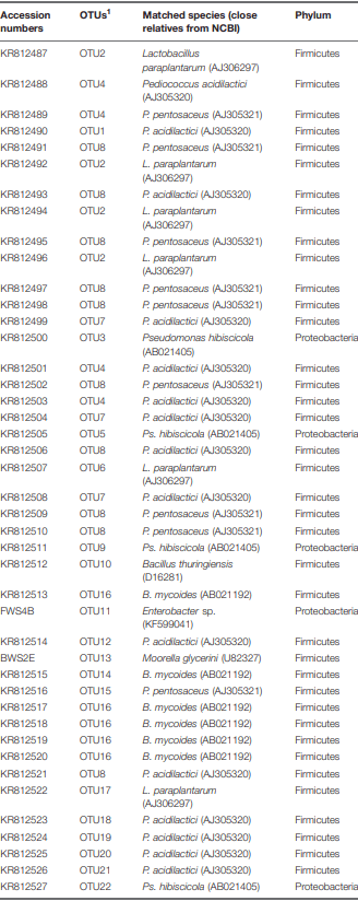 Bacterial Diversity and Mycotoxin Reduction During Maize Fermentation (Steeping) for Ogi Production - Image 1