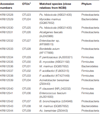 Bacterial Diversity and Mycotoxin Reduction During Maize Fermentation (Steeping) for Ogi Production - Image 2