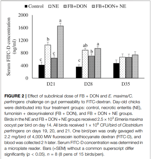 Subclinical Doses of Combined Fumonisins and Deoxynivalenol Predispose Clostridium perfringens–Inoculated Broilers to Necrotic Enteritis - Image 6