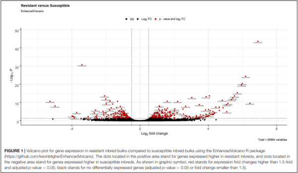 Genomics and Pathways Involved in Maize Resistance to Fusarium Ear Rot and Kernel Contamination With Fumonisins - Image 2