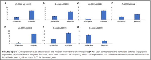 Genomics and Pathways Involved in Maize Resistance to Fusarium Ear Rot and Kernel Contamination With Fumonisins - Image 7