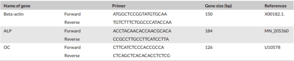 Effect of strontium ranelate and cerium oxide addition in the diet on bone quality and expression level of osteocalcin and alkaline phosphatase genes in broiler chicken - Image 2