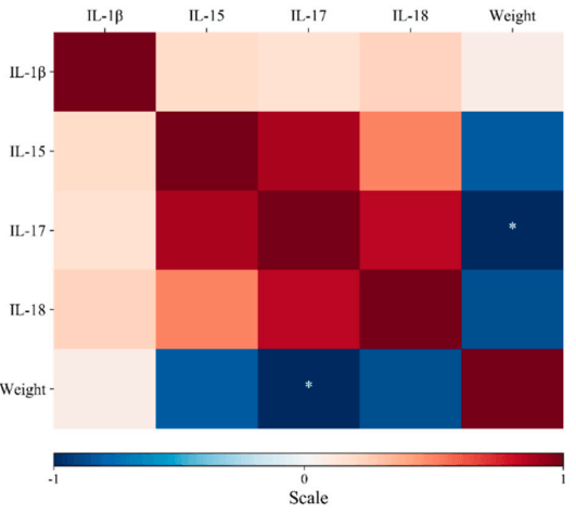 Effects of Lactobacillus Fermentum Supplementation on Body Weight and Pro-Inflammatory Cytokine Expression in Campylobacter Jejuni-Challenged Chickens - Image 4