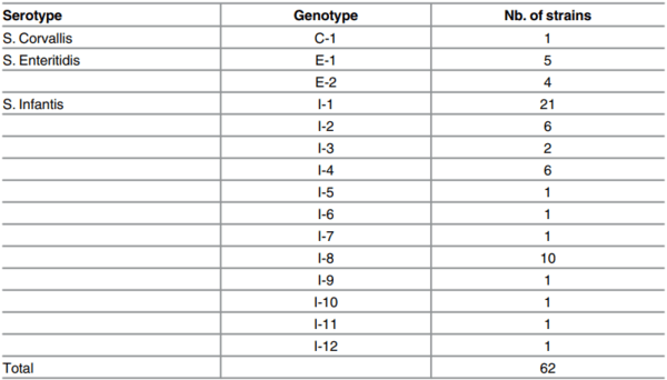 Prevalence and Diversity of Salmonella Serotypes in Ecuadorian Broilers at Slaughter Age - Image 2