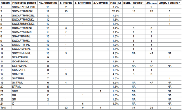 Prevalence and Diversity of Salmonella Serotypes in Ecuadorian Broilers at Slaughter Age - Image 5