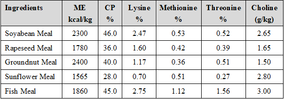 Crafting a Symphony of Poultry Health and Production with Choline - Image 5