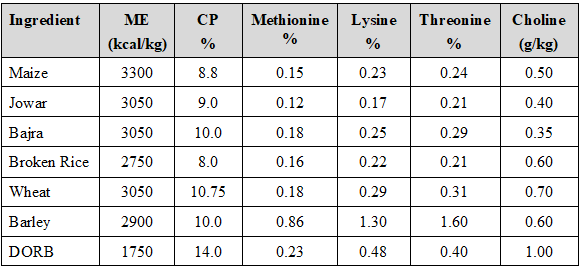 Crafting a Symphony of Poultry Health and Production with Choline - Image 4