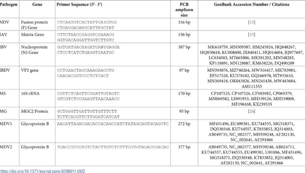 Antimicrobial stewardship hindered by inadequate biosecurity and biosafety practices, and inappropriate antibiotics usage in poultry farms of Nepal – A pilot study - Image 1