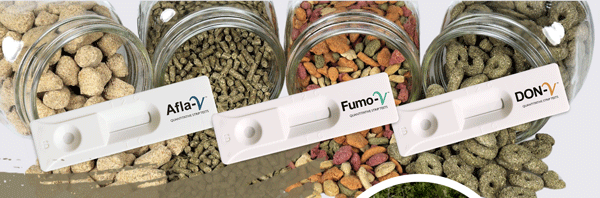 What’s the Difference Between a Rapid Test and a Regular Test?