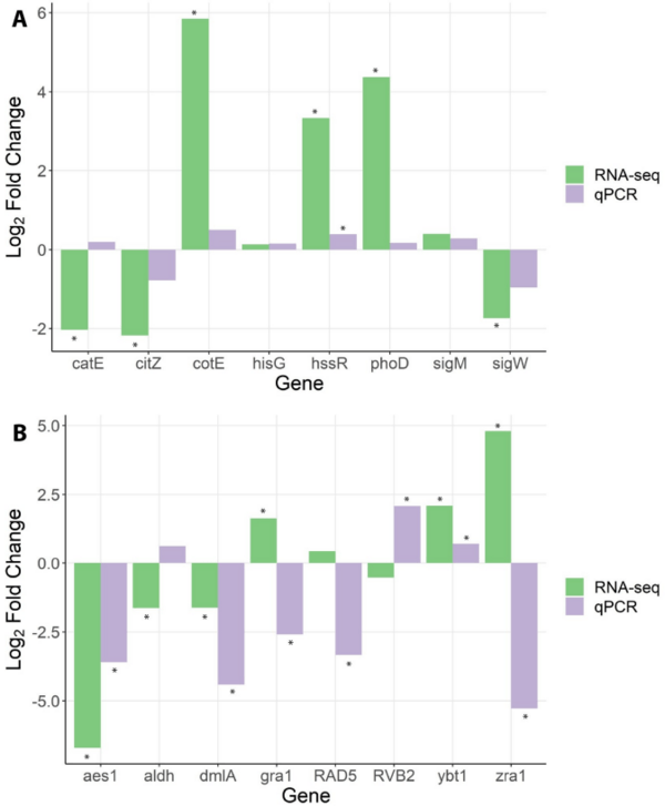Comparative transcriptome analysis reveals the biocontrol mechanism of Bacillus velezensis E68 against Fusarium graminearum DAOMC 180378, the causal agent of Fusarium head blight - Image 13