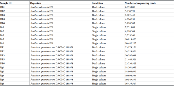 Comparative transcriptome analysis reveals the biocontrol mechanism of Bacillus velezensis E68 against Fusarium graminearum DAOMC 180378, the causal agent of Fusarium head blight - Image 5