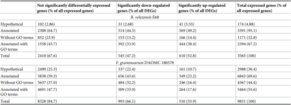 Comparative transcriptome analysis reveals the biocontrol mechanism of Bacillus velezensis E68 against Fusarium graminearum DAOMC 180378, the causal agent of Fusarium head blight - Image 6