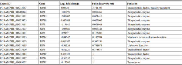 Comparative transcriptome analysis reveals the biocontrol mechanism of Bacillus velezensis E68 against Fusarium graminearum DAOMC 180378, the causal agent of Fusarium head blight - Image 12
