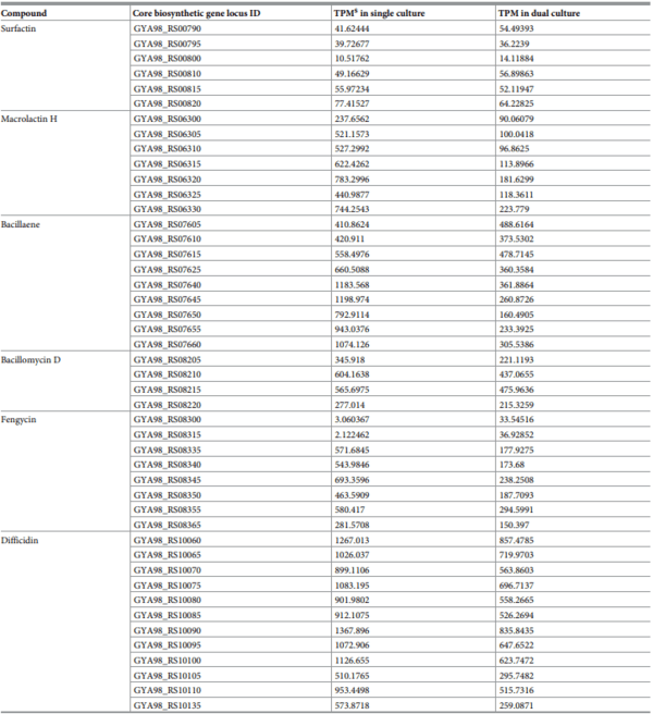 Comparative transcriptome analysis reveals the biocontrol mechanism of Bacillus velezensis E68 against Fusarium graminearum DAOMC 180378, the causal agent of Fusarium head blight - Image 10