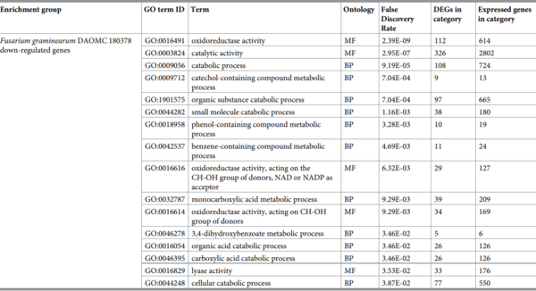 Comparative transcriptome analysis reveals the biocontrol mechanism of Bacillus velezensis E68 against Fusarium graminearum DAOMC 180378, the causal agent of Fusarium head blight - Image 8