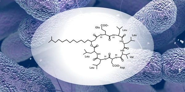 What is Surfactin? Exploring Its Mechanism of Action and Benefits - Image 1