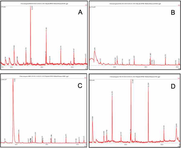 Rice Weevil (Sitophilus oryzae L.) Gut Bacteria Inhibit Growth of Aspergillus flavus and Degrade Aflatoxin B1 - Image 11