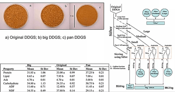 Methods and Implications for DDGS Production - Image 6