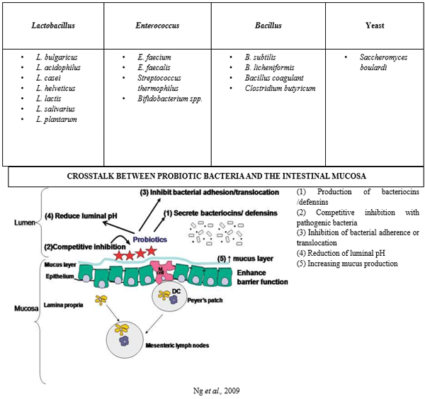 PROBIOTICS IN POULTRY: