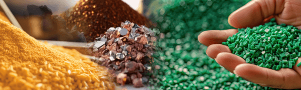 Levelling Up-Value Chain Driving Inclusive Growth In Poultry Industry - Image 4