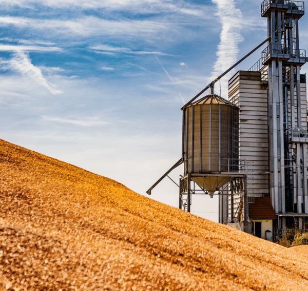 Levelling Up-Value Chain Driving Inclusive Growth In Poultry Industry - Image 5