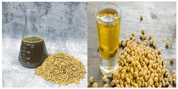 Optimizing Fat Incorporation in Broiler Feed: A Cost-Effective and Nutritional Perspective - Image 1