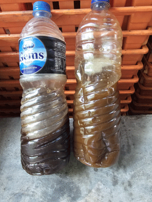 Ricebran Crude Oil Dark and Light Colour.