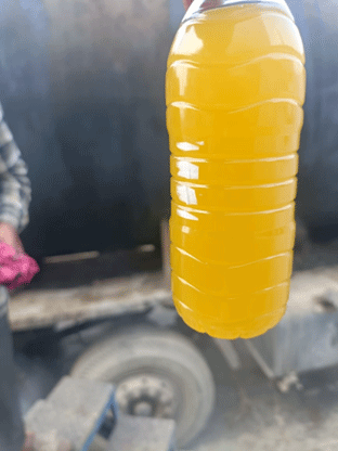 Tallow Oil