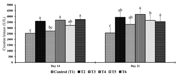 Figure 4. Effect of combined doses of mycotoxin on creatine kinase on day 14 and day 21. Bars (+SEM) with no common superscript differ significantly (p < 0.05) (n = 6).
