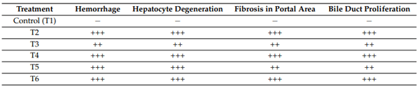 Table 4. Effect of combined doses of mycotoxin on histopathological scoring on day 21. Histopathological changes for liver tissues were scored on 10 high-power randomly chosen fields/treatments as follows: no lesions (−), mild (+), moderate (++), and severe (+++).