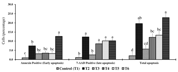 Figure 2. Effect of combined doses of mycotoxin on the percentage of early, late, and total apoptotic hepatocytes on day 14. Bars (+SEM) with no common superscript differ significantly (p < 0.05) (n = 6).