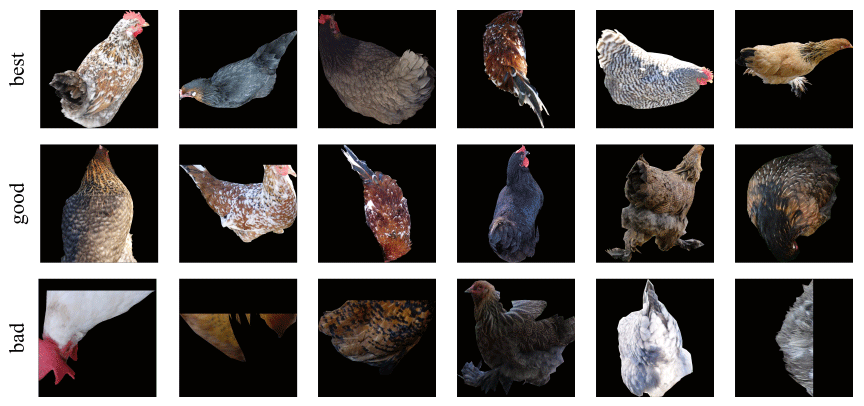 Towards Automated Chicken Monitoring: Dataset and Machine Learning Methods for Visual, Noninvasive Reidentification - Image 19
