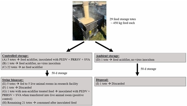 Evaluation of Extended Storage of Swine Complete Feed for Inactivation of Viral Contamination and Effect on Nutritional, Microbiological, and Toxicological Profiles - Image 2