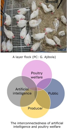 The Potential Roles of Artificial Intelligence in Poultry Welfare Monitoring: Current Challenges and Future Needs - Image 1