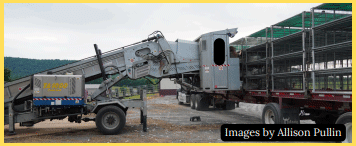 Welfare of Turkeys During Live Haul - Image 7