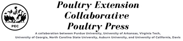 Gut Microbiome Influences Poultry Welfare - Image 1