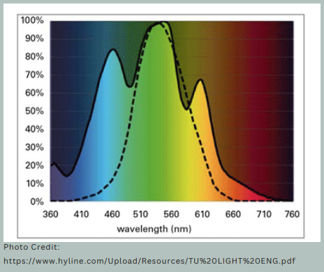 Light Color for Poultry | Engormix