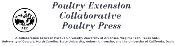 Alternative Housing for Laying Hens: Access to Outside - Image 1