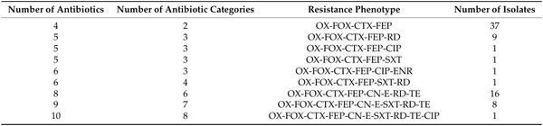 Occurrence, Antibiotic Resistance and Biofilm-Forming Ability of Listeria monocytogenes in Chicken Carcasses and Cuts - Image 4