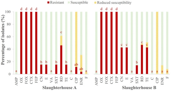 Occurrence, Antibiotic Resistance and Biofilm-Forming Ability of Listeria monocytogenes in Chicken Carcasses and Cuts - Image 5