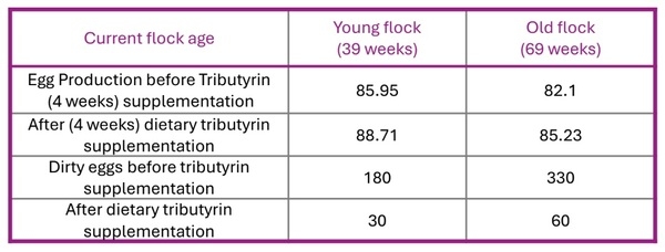Dirty egg problem solved by dietary tributyrin supplementation in layers - Image 1
